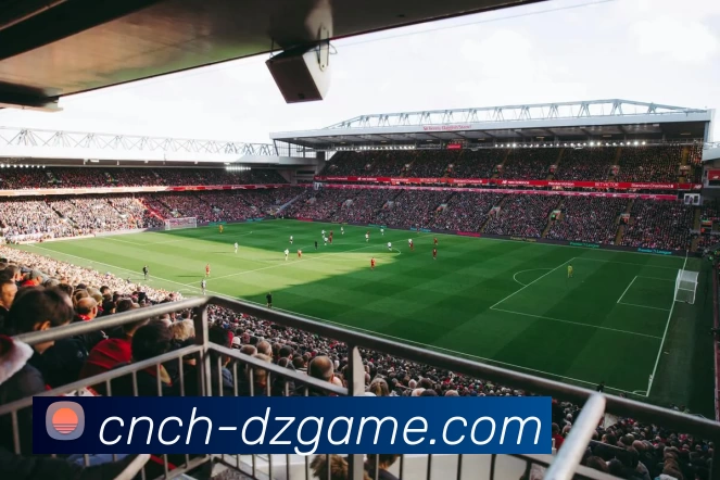 德州扑克官网APP 高清赛事图